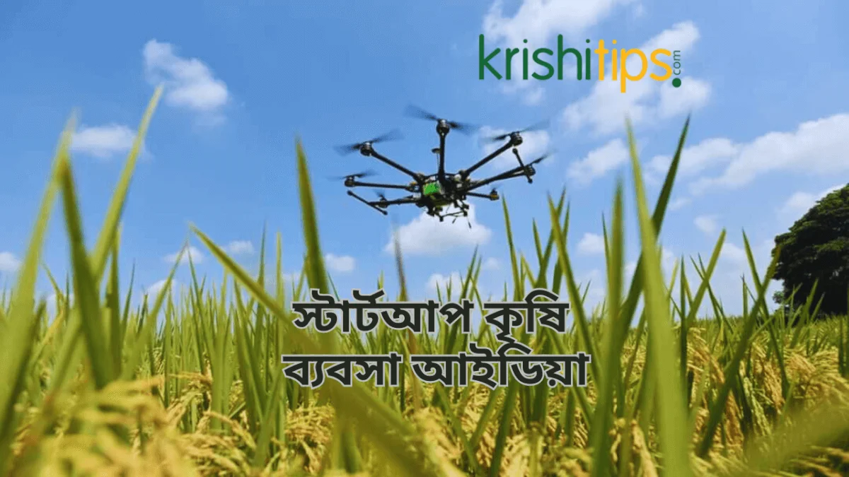 কৃষি ব্যবসা আইডিয়া