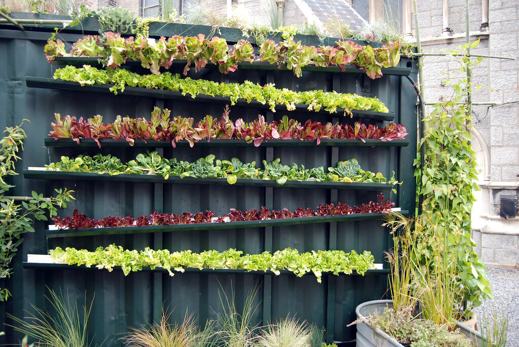 Vertical Farming