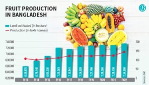 বাংলাদেশের কোথায় কোন ফল গাছ ভালো হয়